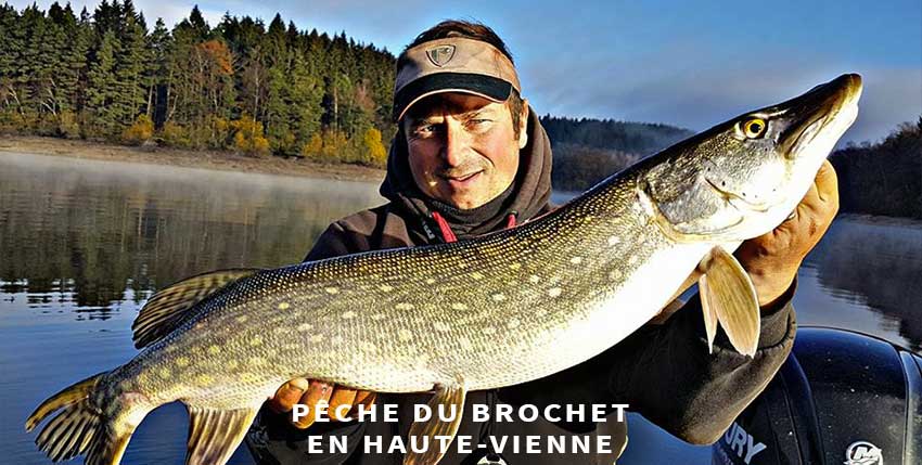 Guide de pêche du brochet en Haute-Vienne
